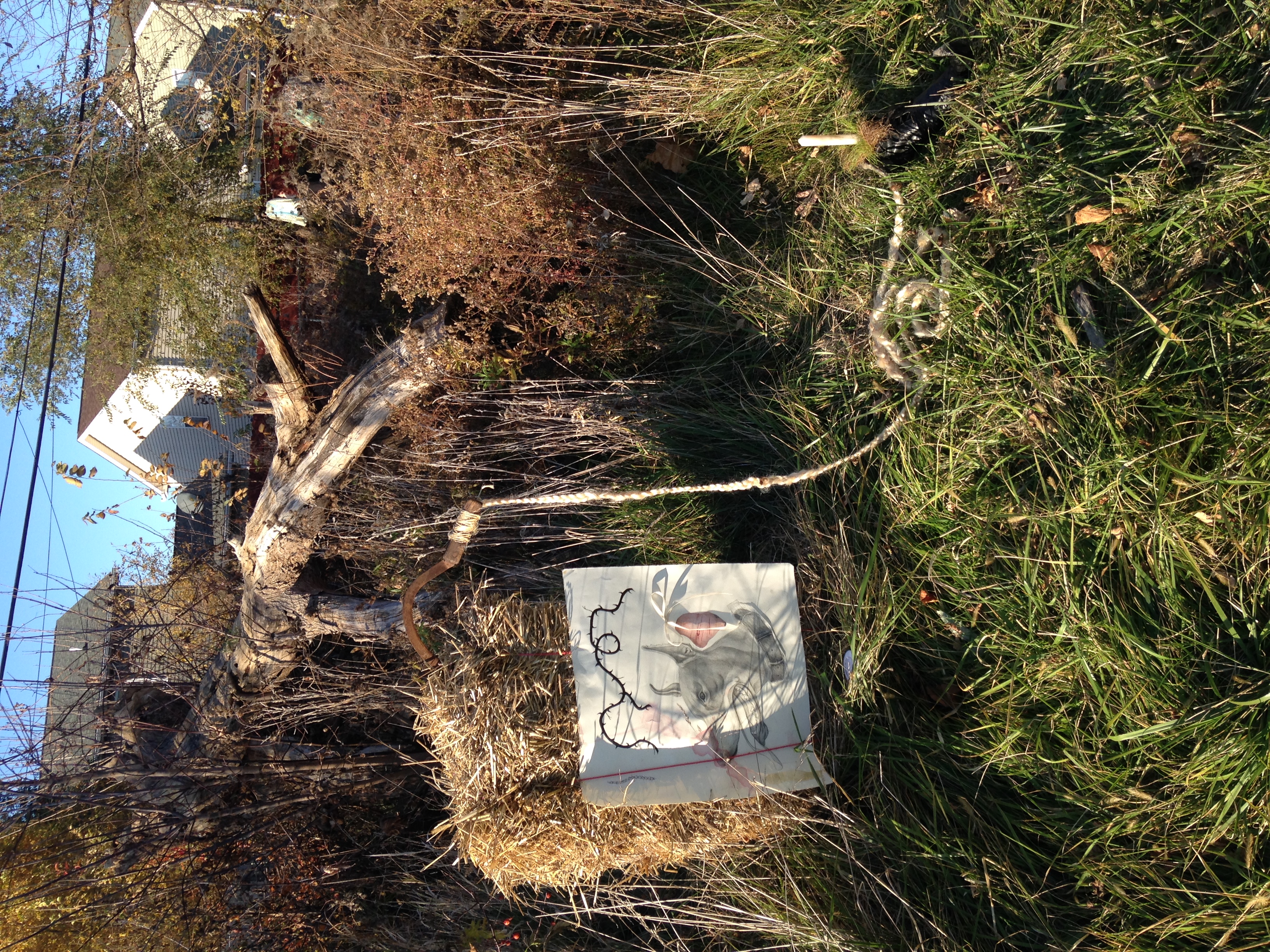 ISawSomethingInTheFields.LydiaKuzak,